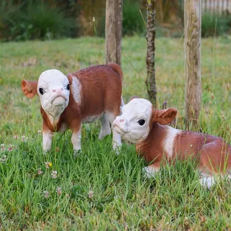 With Stunning Views Apartamento *