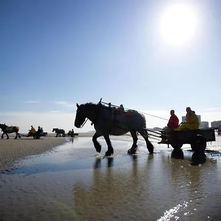 With Stunning Views Apartamento Nieuwpoort